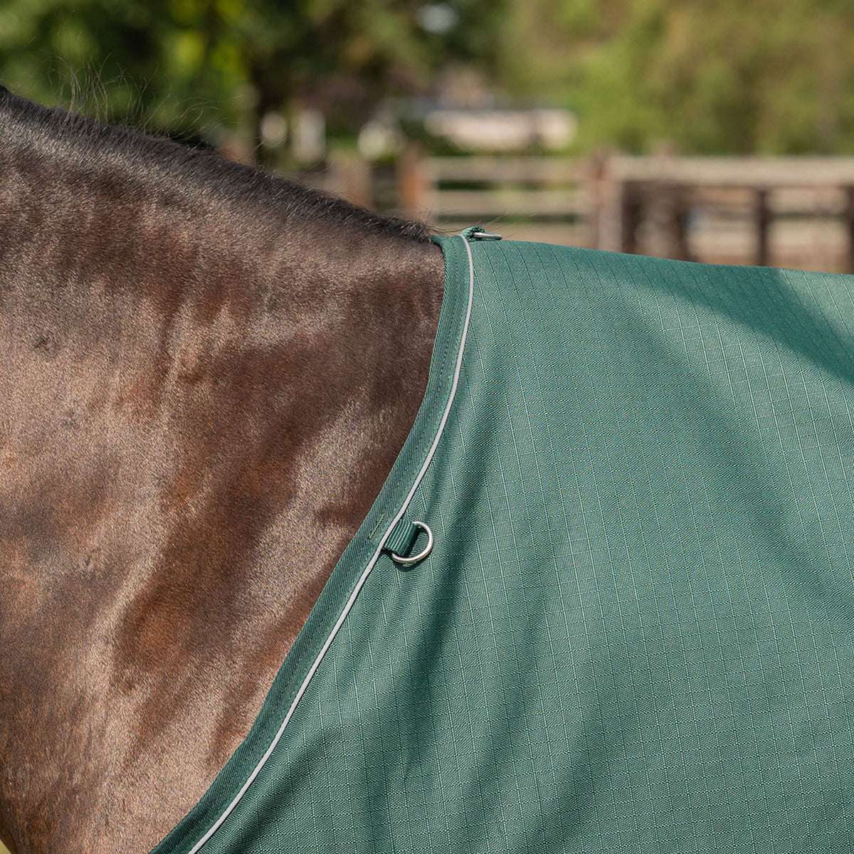 Agradi Horse Outdoor Rug 1200D 0gr Reflective Trim Green