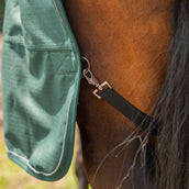 Agradi Horse Outdoor Rug 1200D 0gr Reflective Trim Green