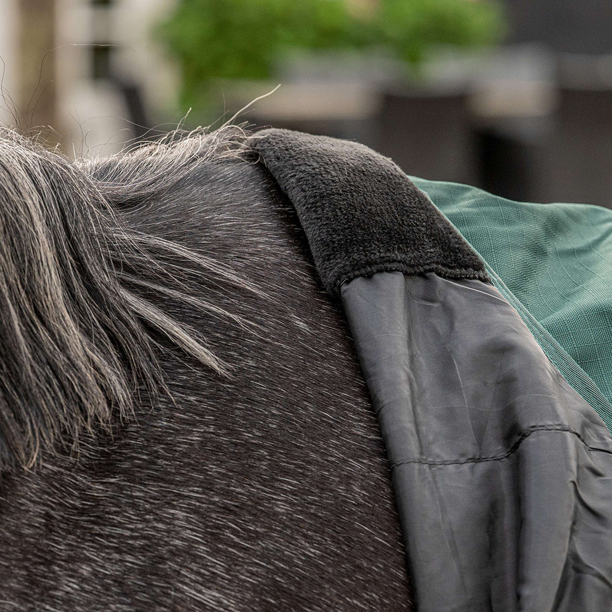 Agradi Horse Outdoor Rug 1200D 0gr Reflective Trim Green