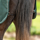 Agradi Horse Exercise Rug 1200D Reflective Trim Green