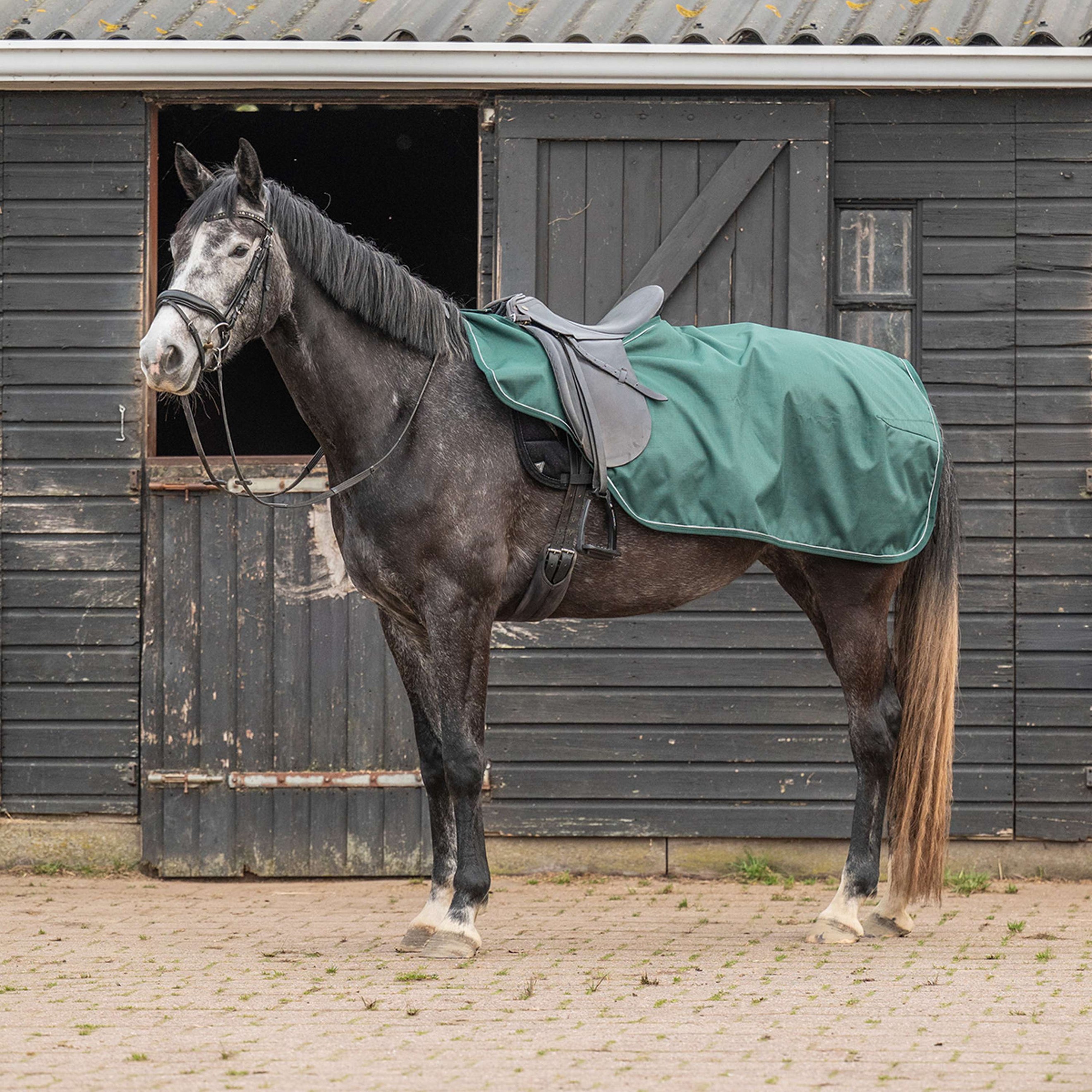 Agradi Horse Exercise Rug 1200D Reflective Trim Green