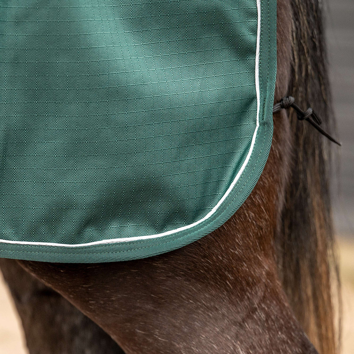 Agradi Horse Exercise Rug 1200D Reflective Trim Green