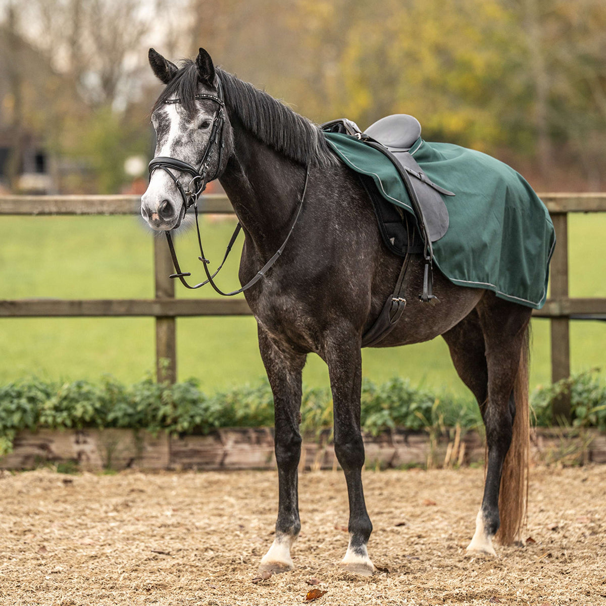 Agradi Horse Exercise Rug 1200D Reflective Trim Green