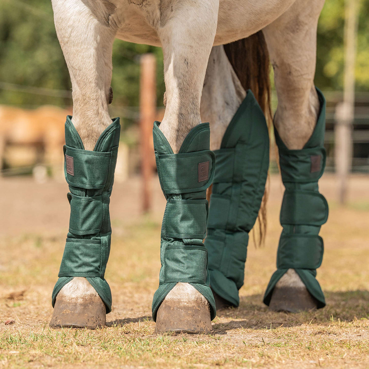 Agradi Horse Transport Protectors 1200D Green