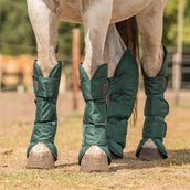 Agradi Horse Transport Protectors 1200D Green