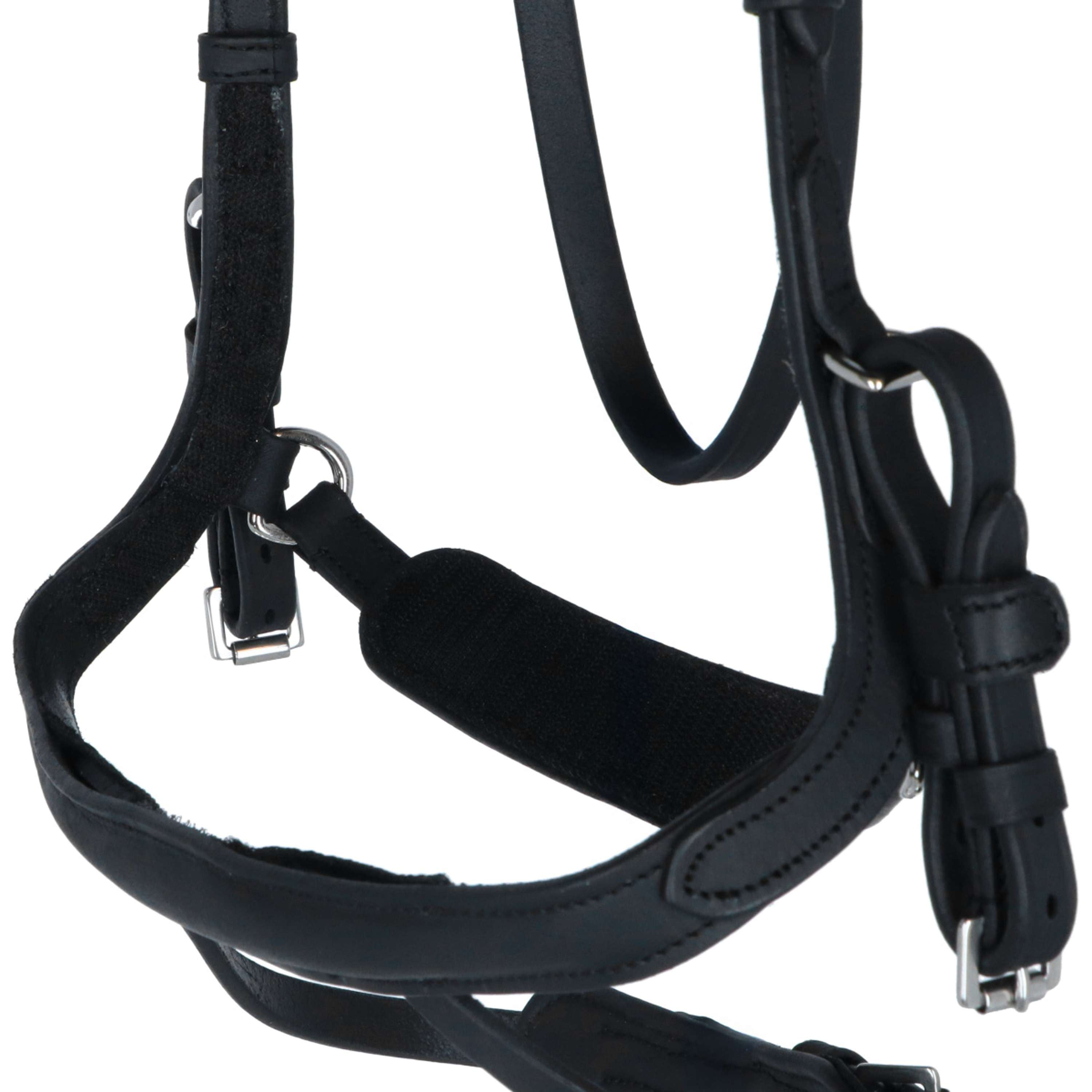 Kavalkade Bridle Caliano Via Black/Silver