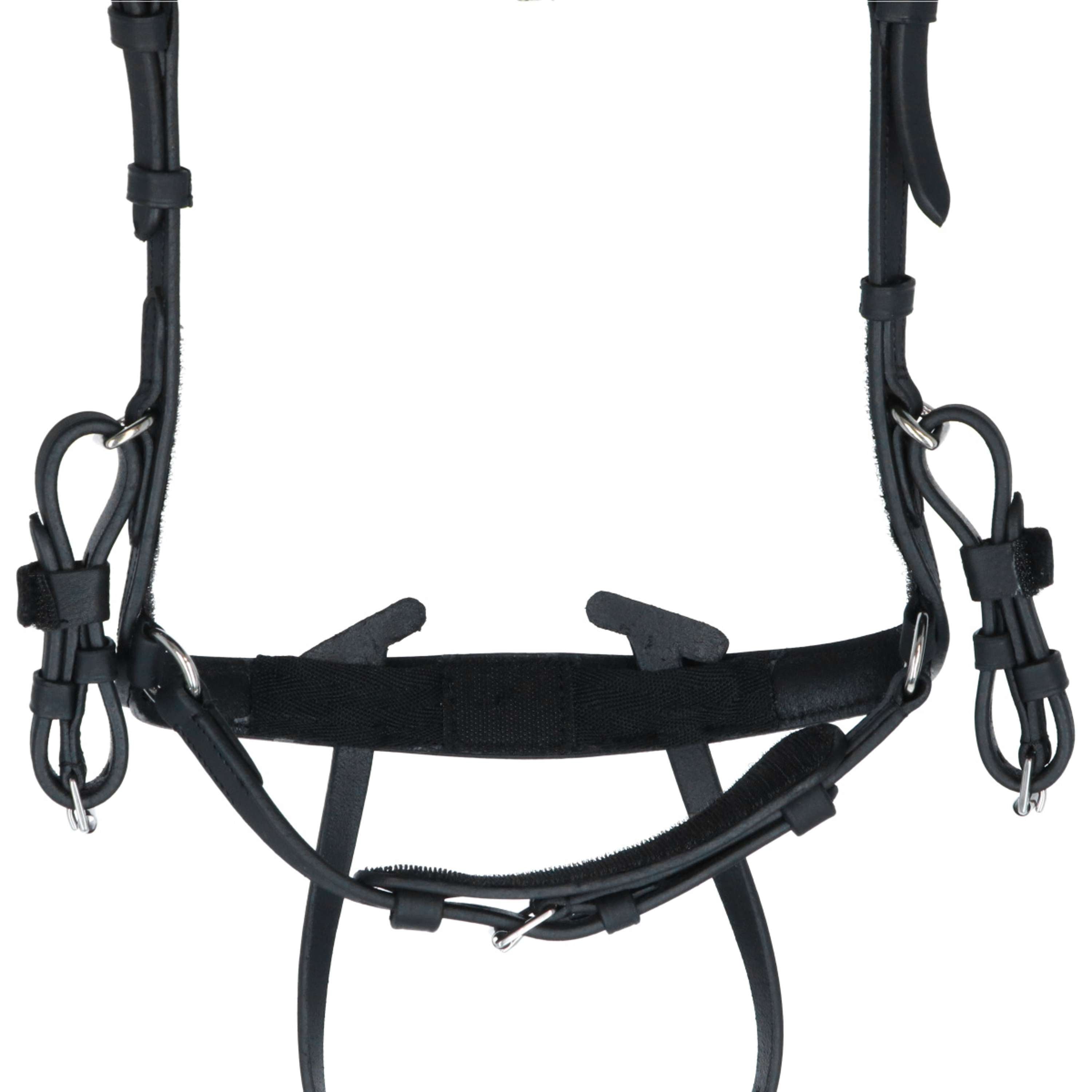 Kavalkade Bridle Caliano Via Black/Silver