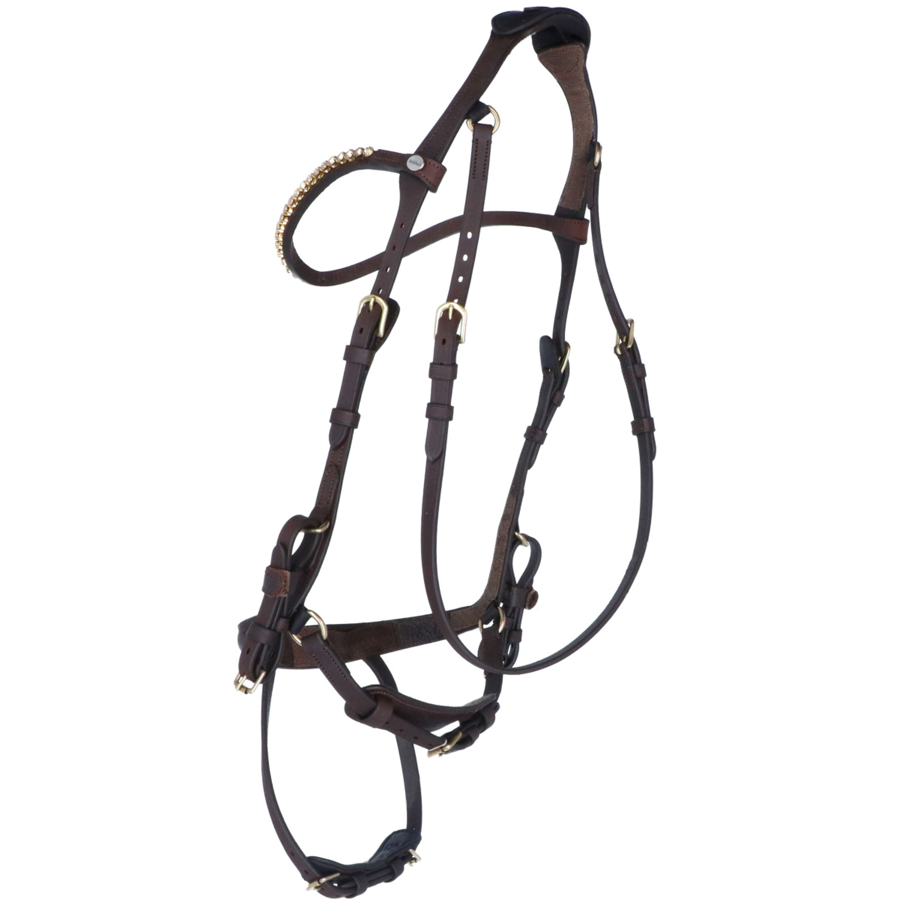Kavalkade Bridle Caliano Via Brown/Brass