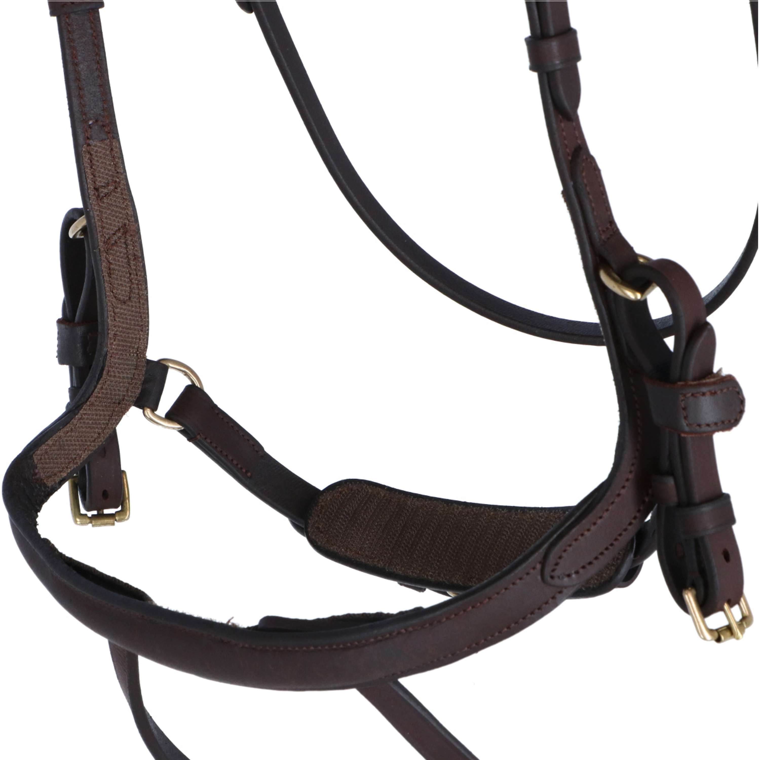 Kavalkade Bridle Caliano Via Brown/Brass