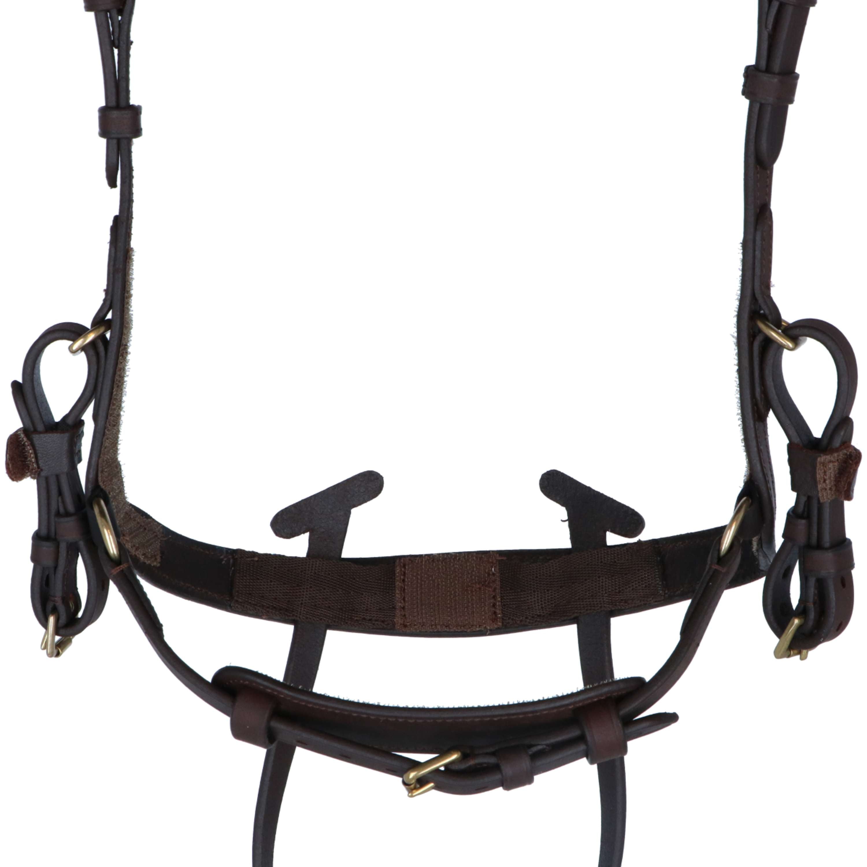 Kavalkade Bridle Caliano Via Brown/Brass