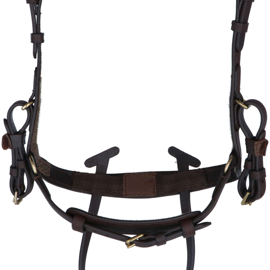 Kavalkade Bridle Caliano Via Brown/Brass