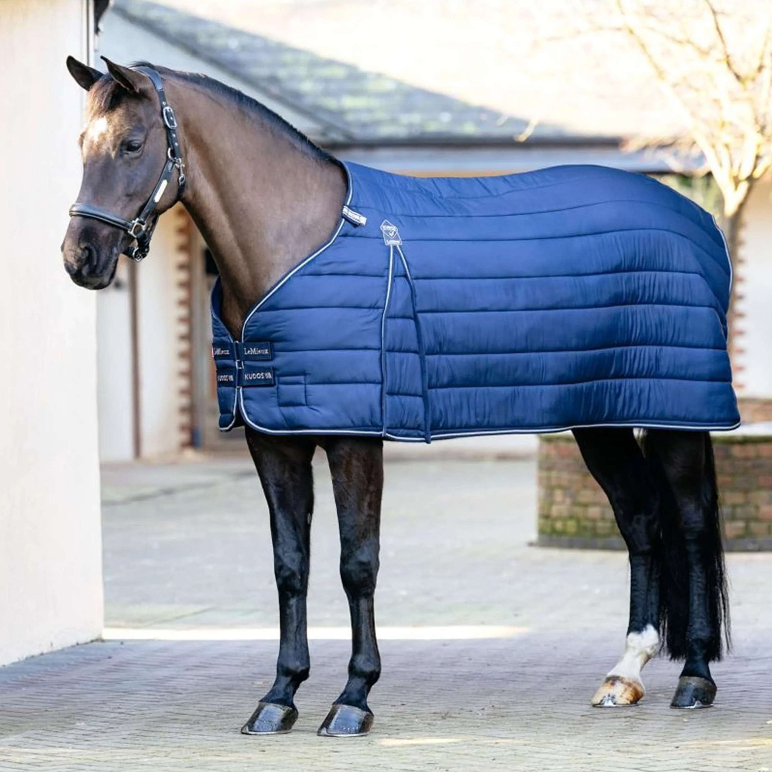 LeMieux Liner Kudos 200g Navy LeMieux Liner Kudos 200g Navy