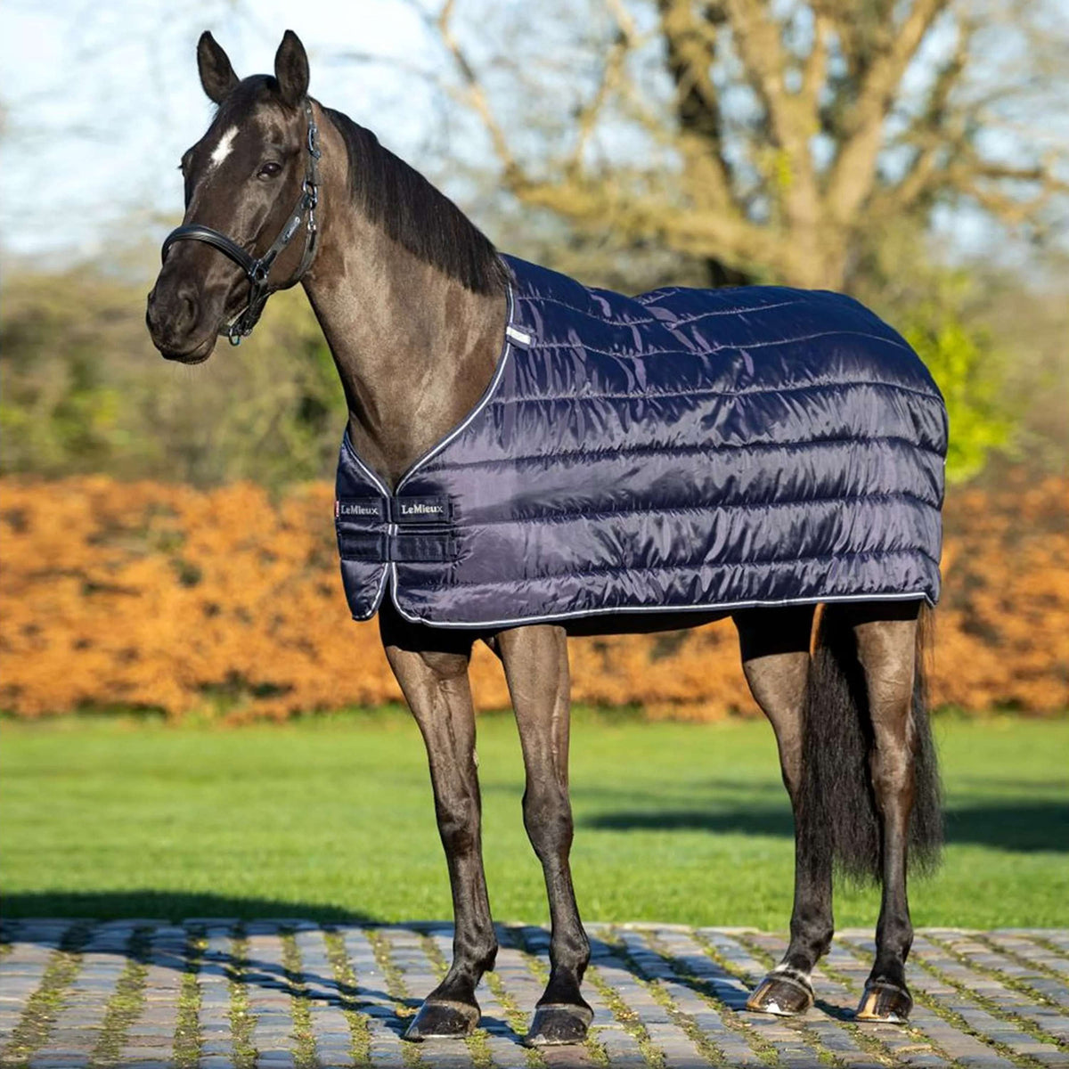 LeMieux Liner 50g Navy