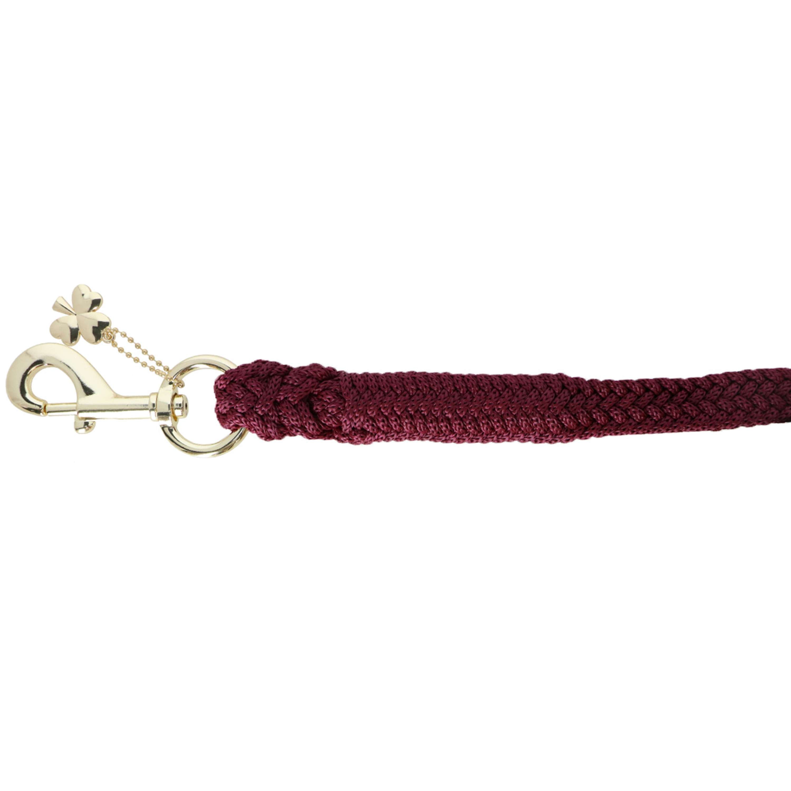 Bucas Lead Rope Show-Line with Carabiner Burgundy