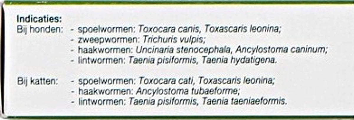 Flubenol Deworming Paste H/K Injector Dog/Cat