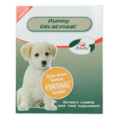 PrimeVal Puppy Gelatin