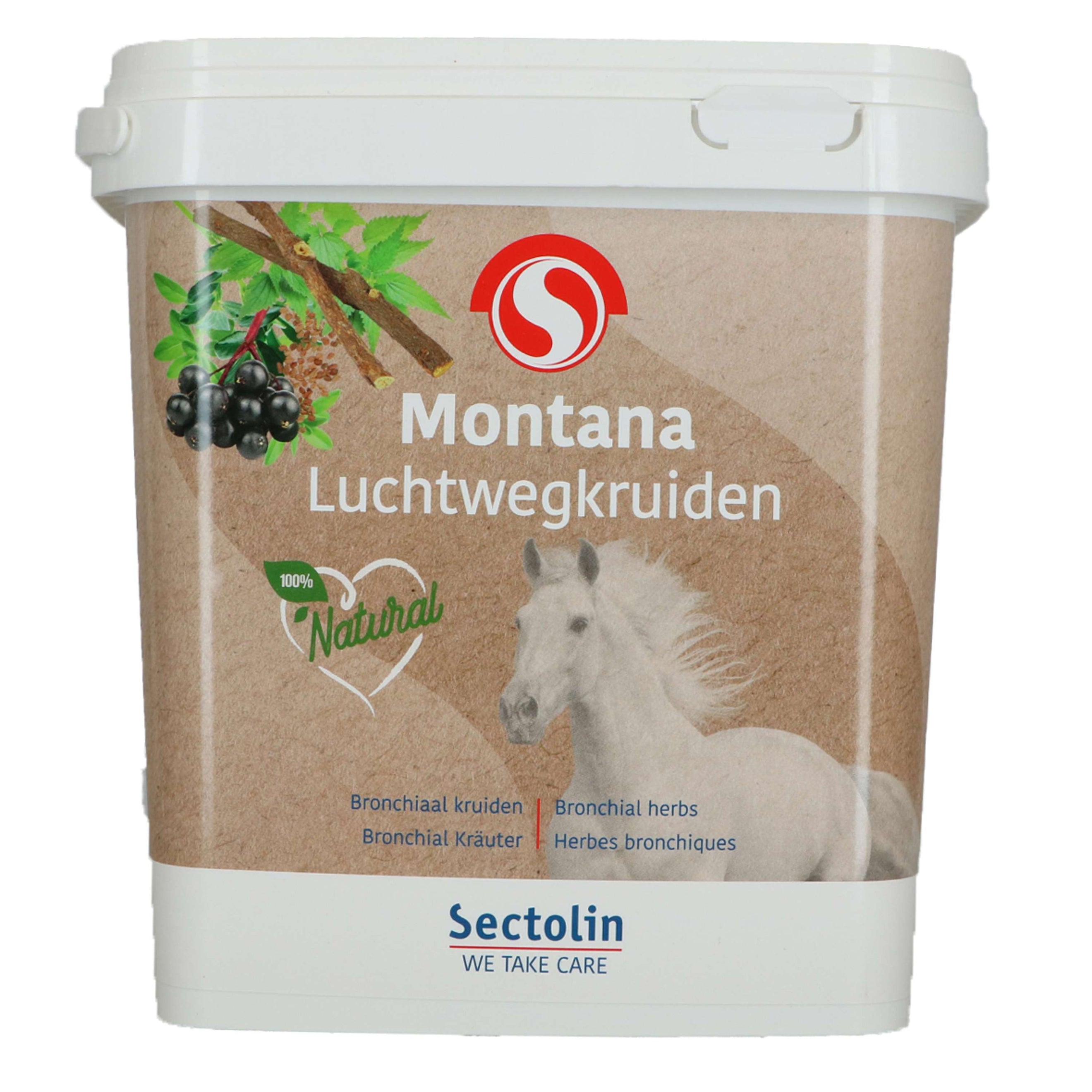 Sectolin Bronchial Herbs Montana