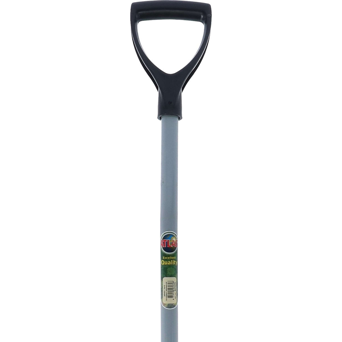 Atlas Ragwort Fork Grey