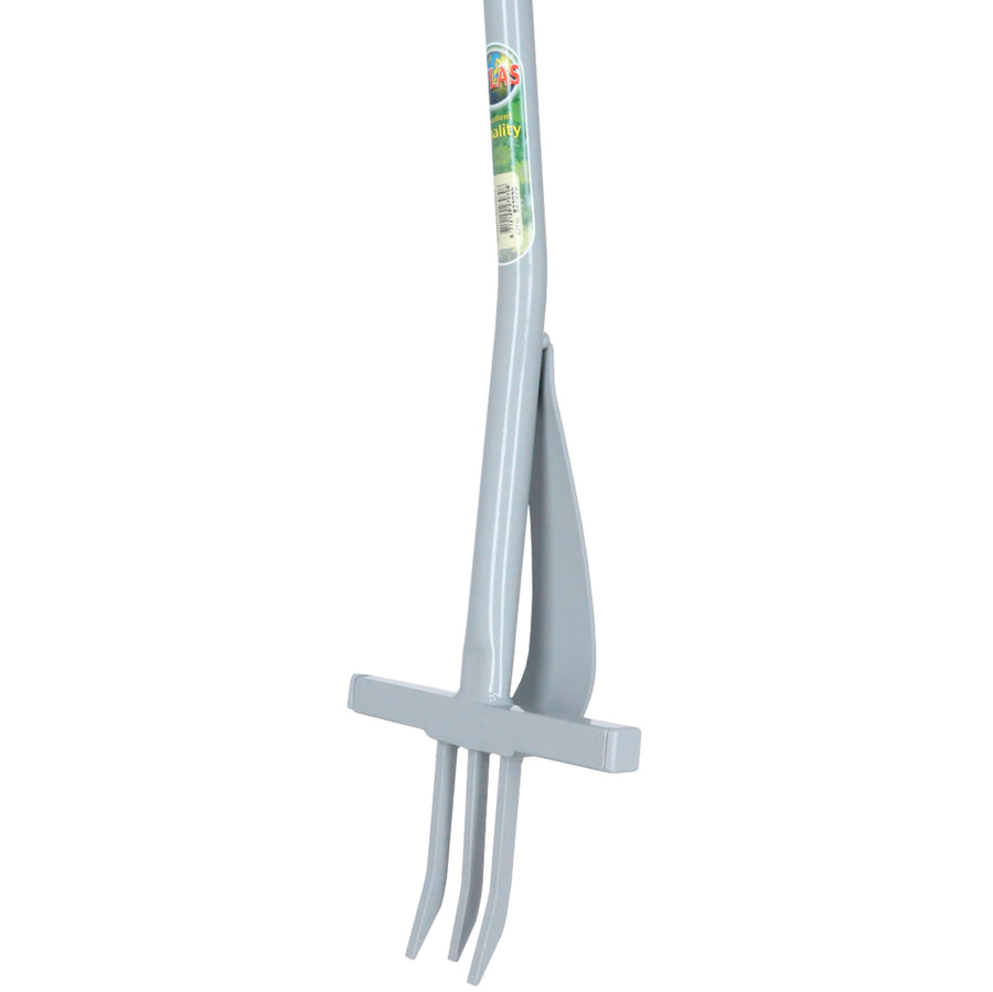 Atlas Ragwort Fork Grey