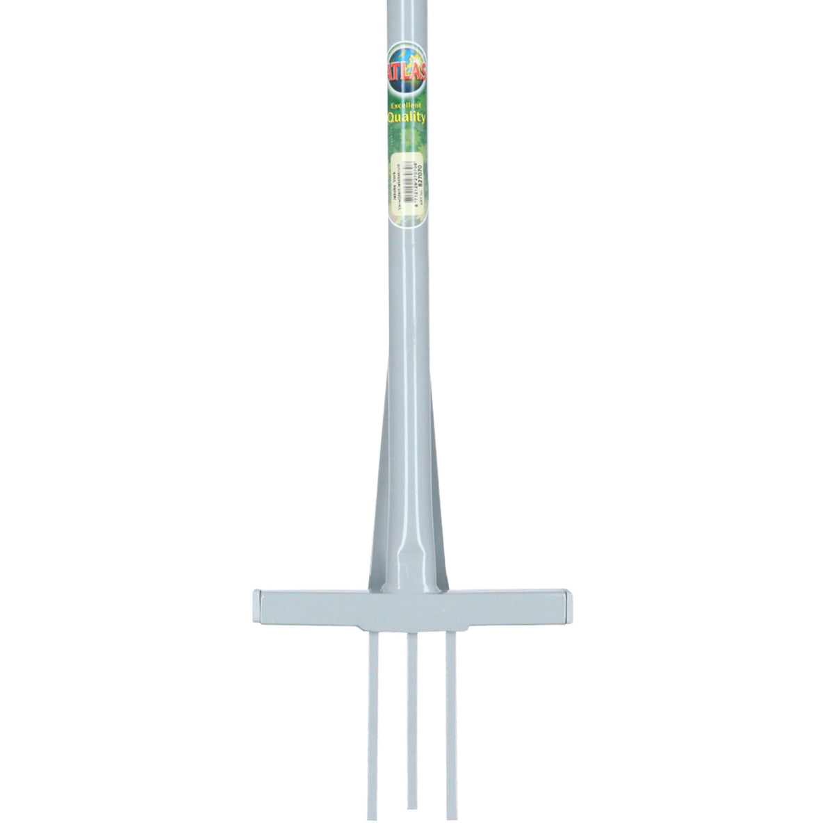 Atlas Ragwort Fork Grey