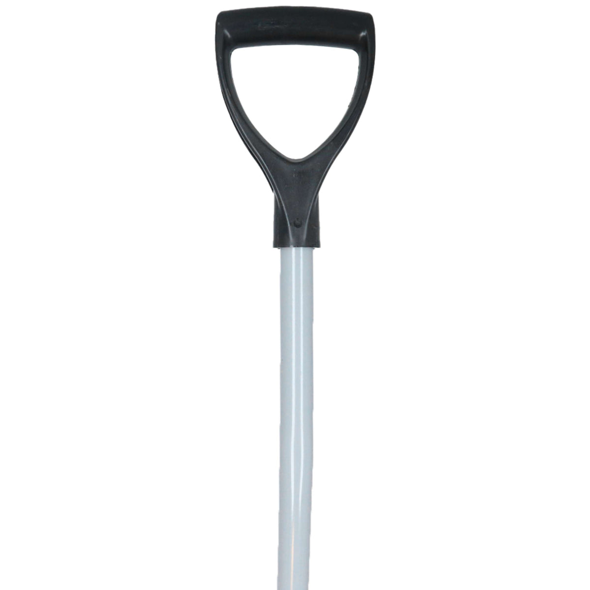 Atlas Ragwort Fork Grey