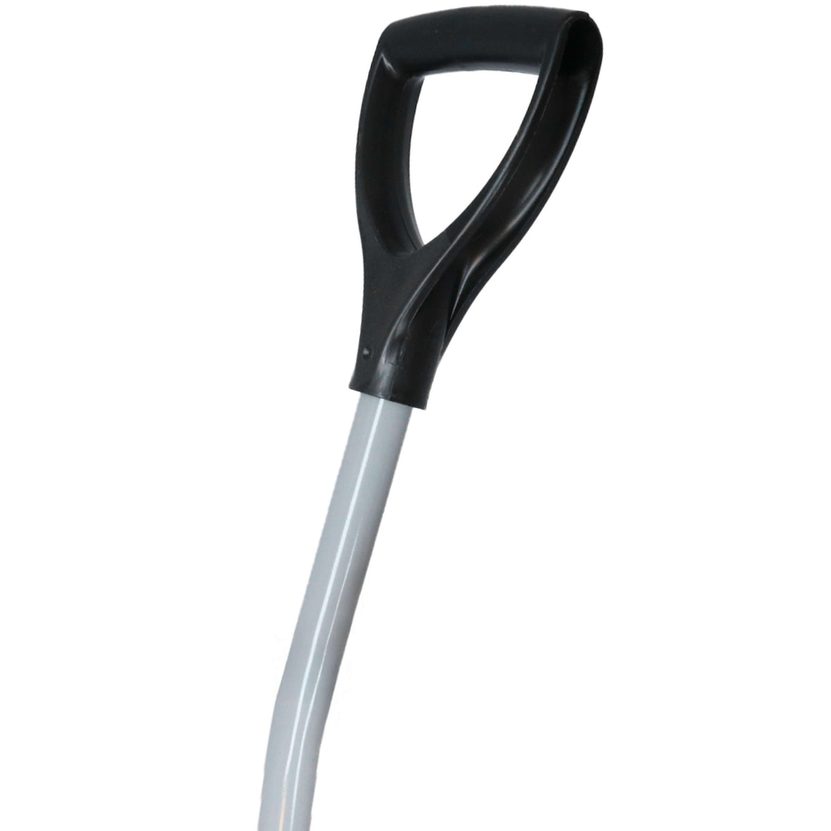 Atlas Ragwort Fork Grey
