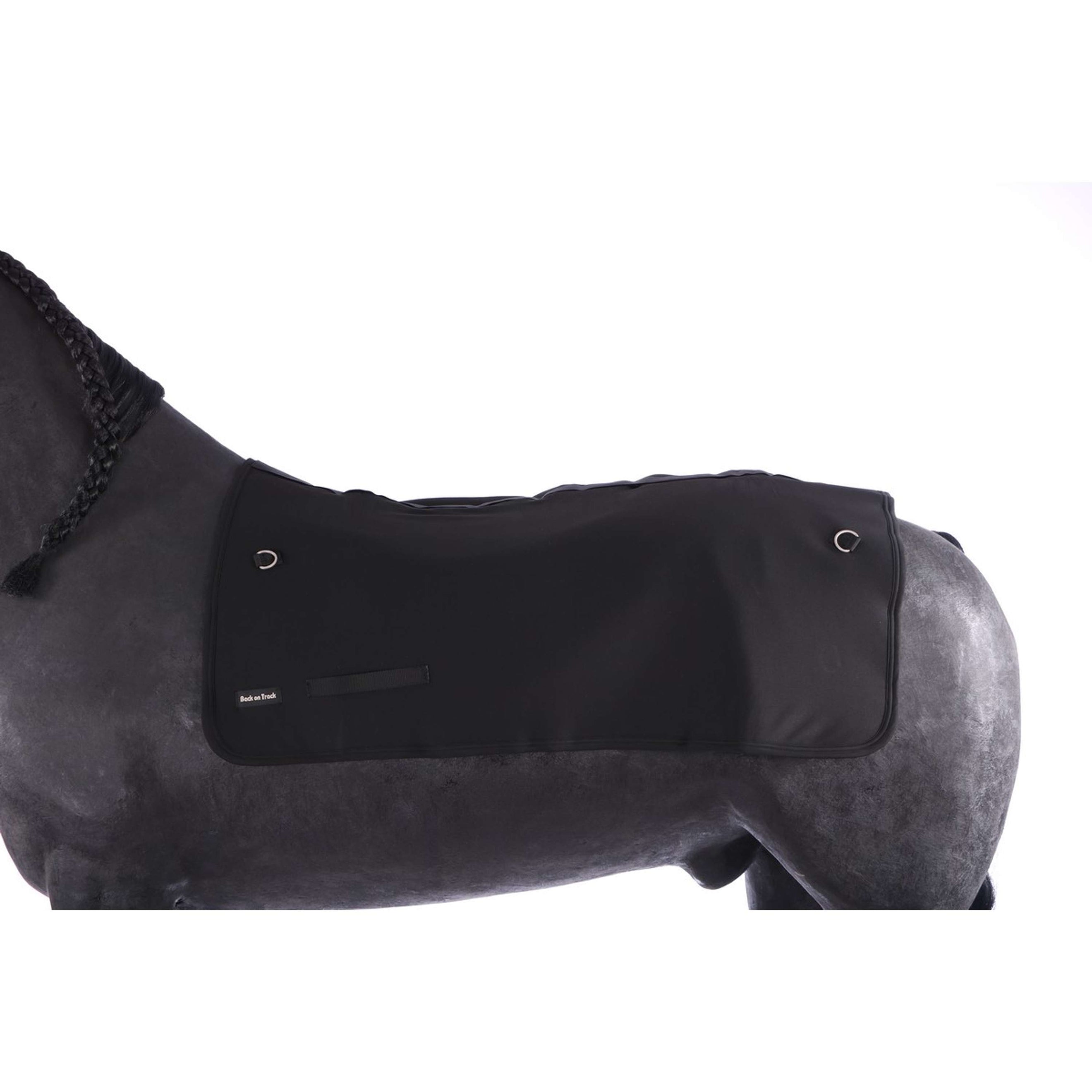 Back on Track Rugverwarmer Black Back on Track Rugverwarmer Black