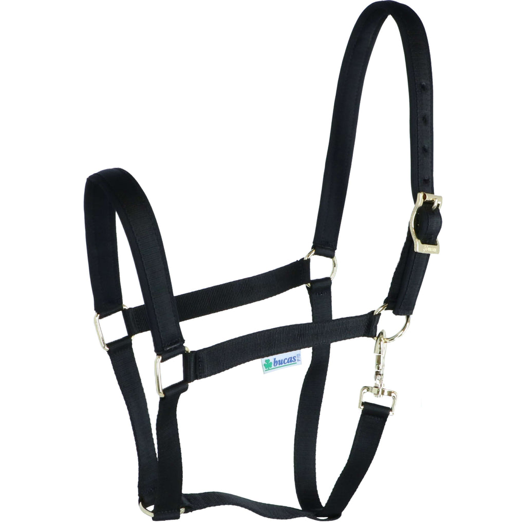 Bucas Halter Dublin Foal Black