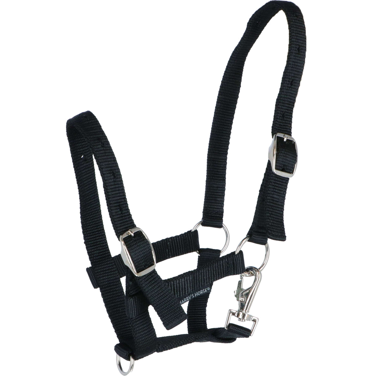 Harry's Horse Foal Headcollar Black