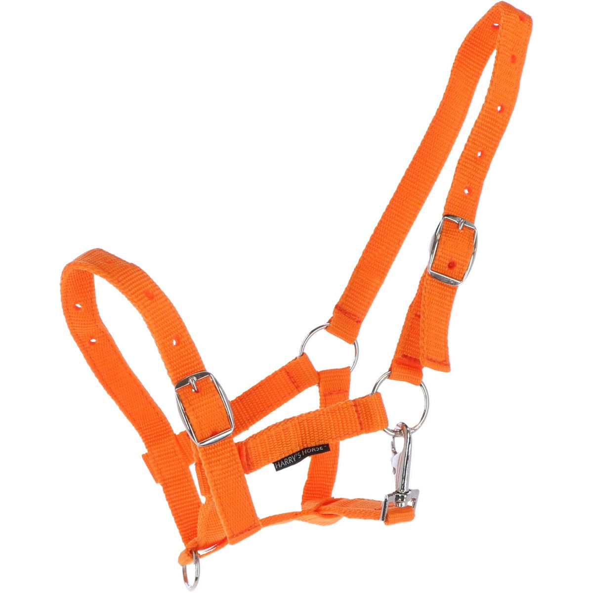 Harry's Horse Foal Headcollar Orange