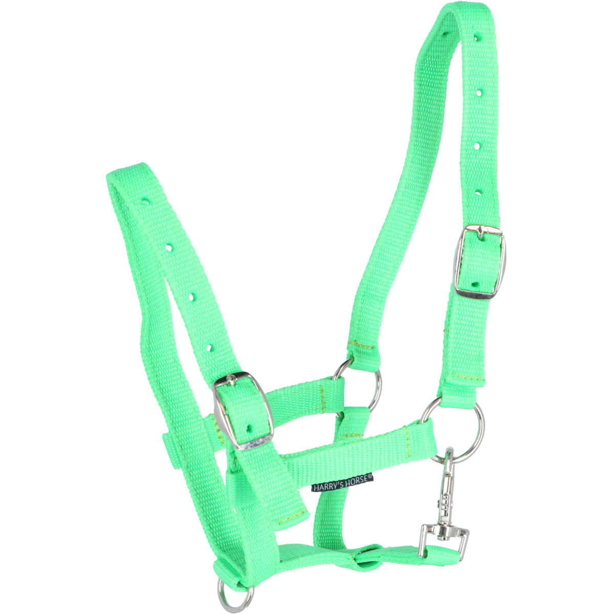 Harry's Horse Foal Headcollar Lime