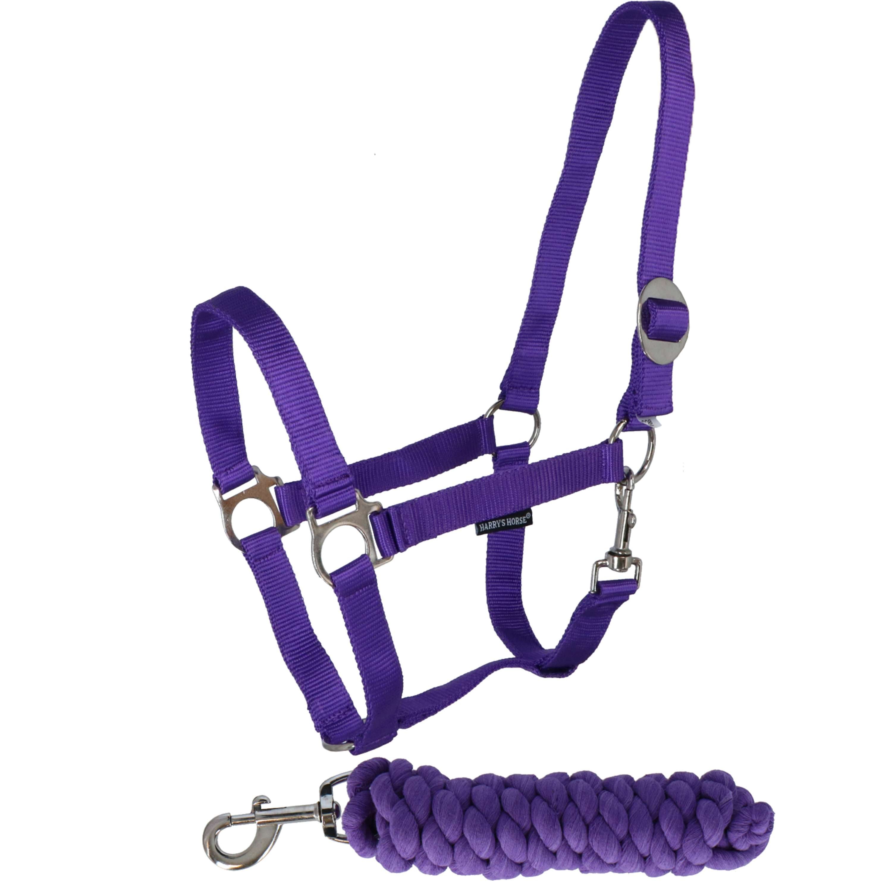 Harry's Horse Halter Set Initial Violet