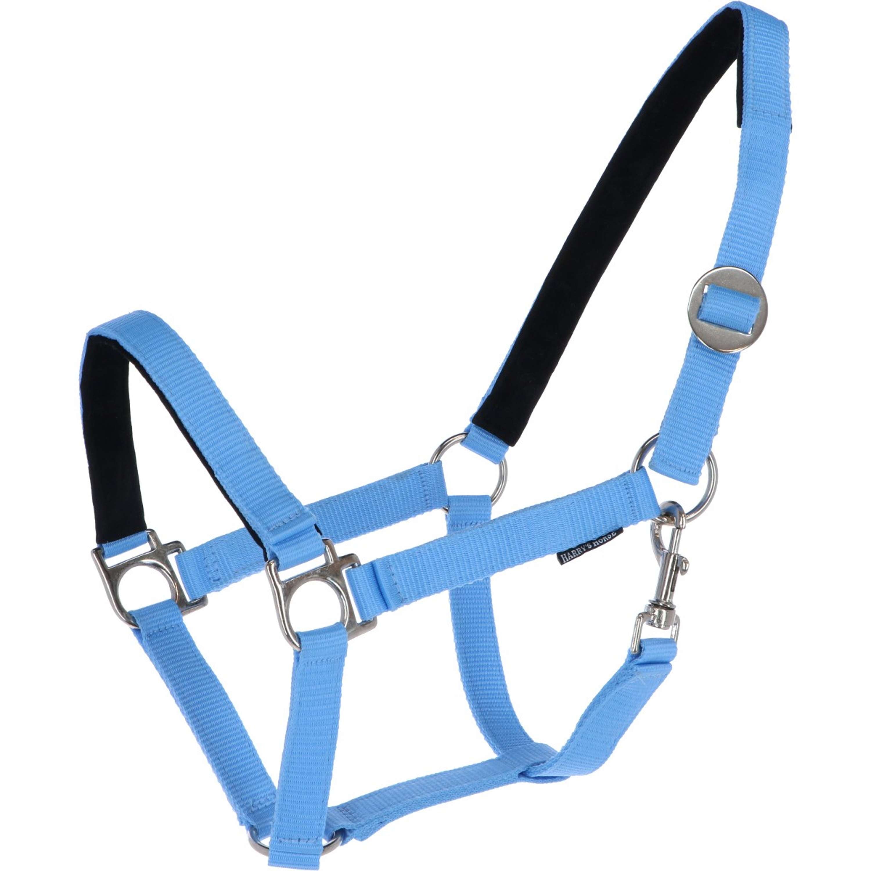 Harry's Horse Halter Padded Lightblue
