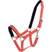 Harry's Horse Padded Halter Orange