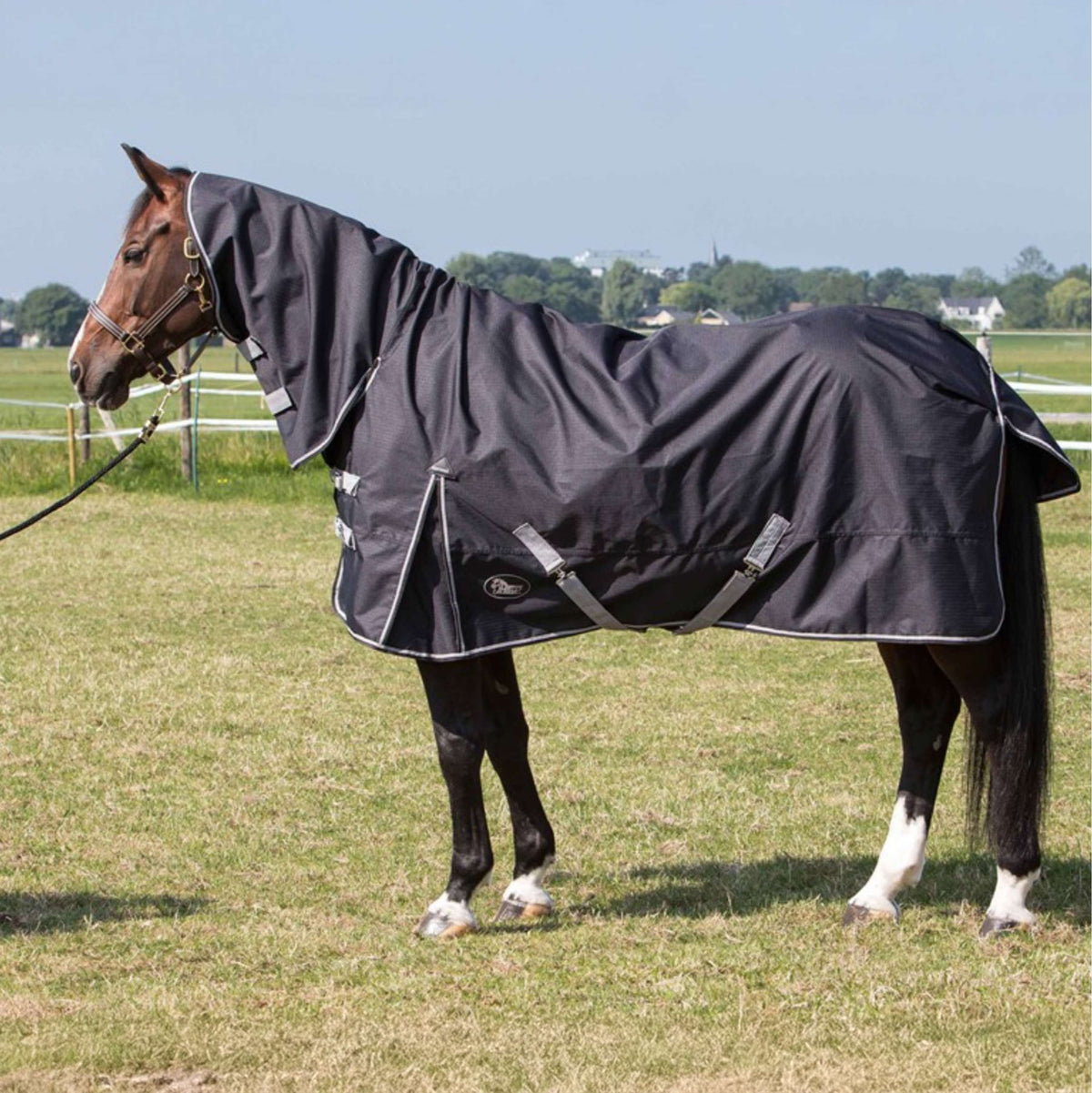 Harry's Horse Rainsheet Combo 0g Stretch limo