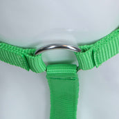 HKM Headcollar Stars Economy Light green