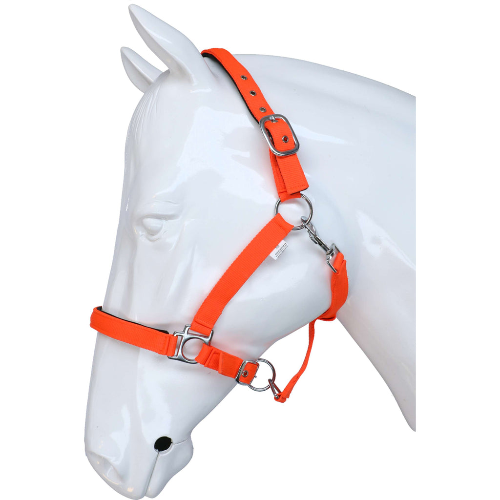 HKM Headcollar Stars Softice Neonorange