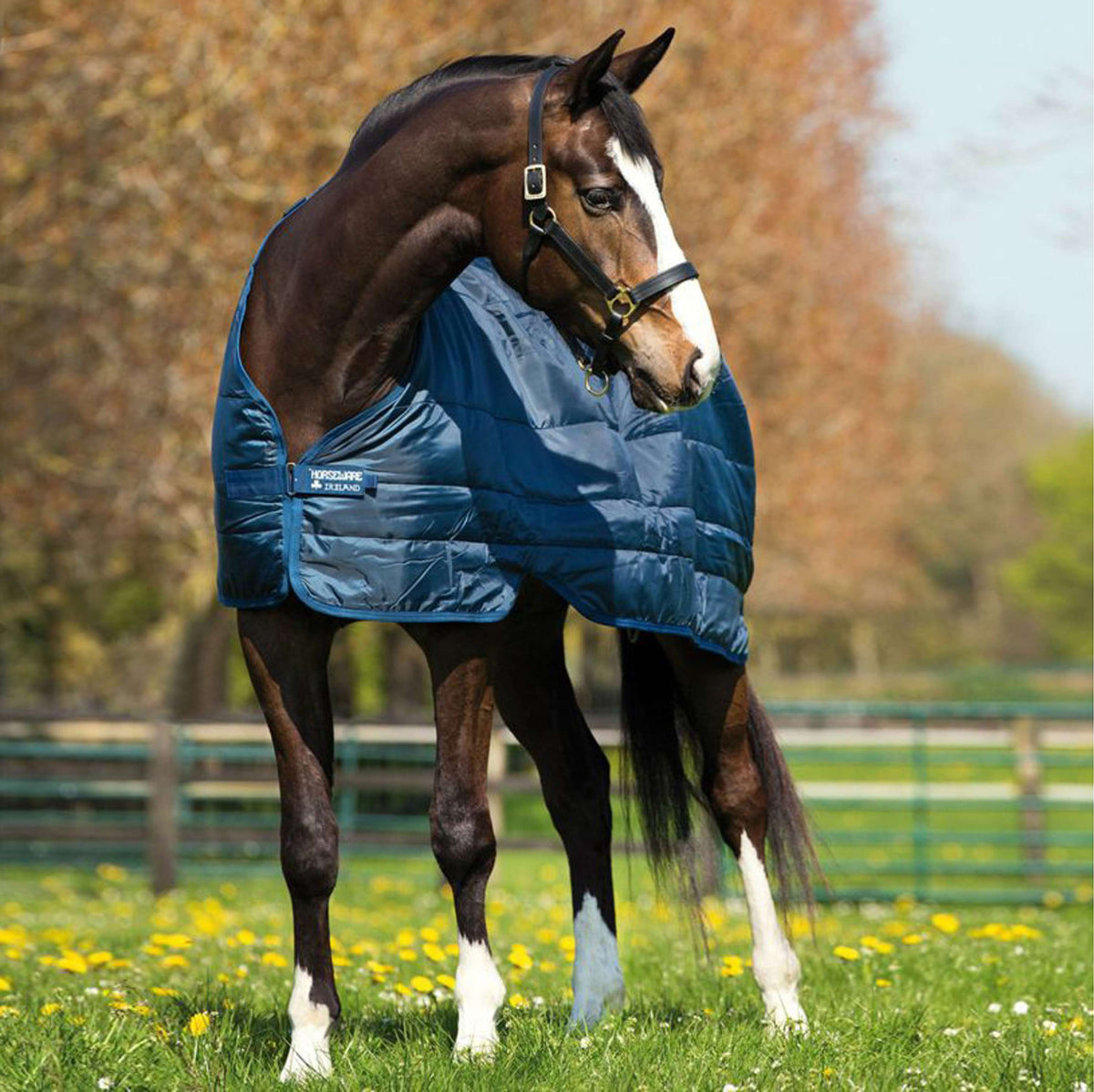 Horseware Liner 200g Navy