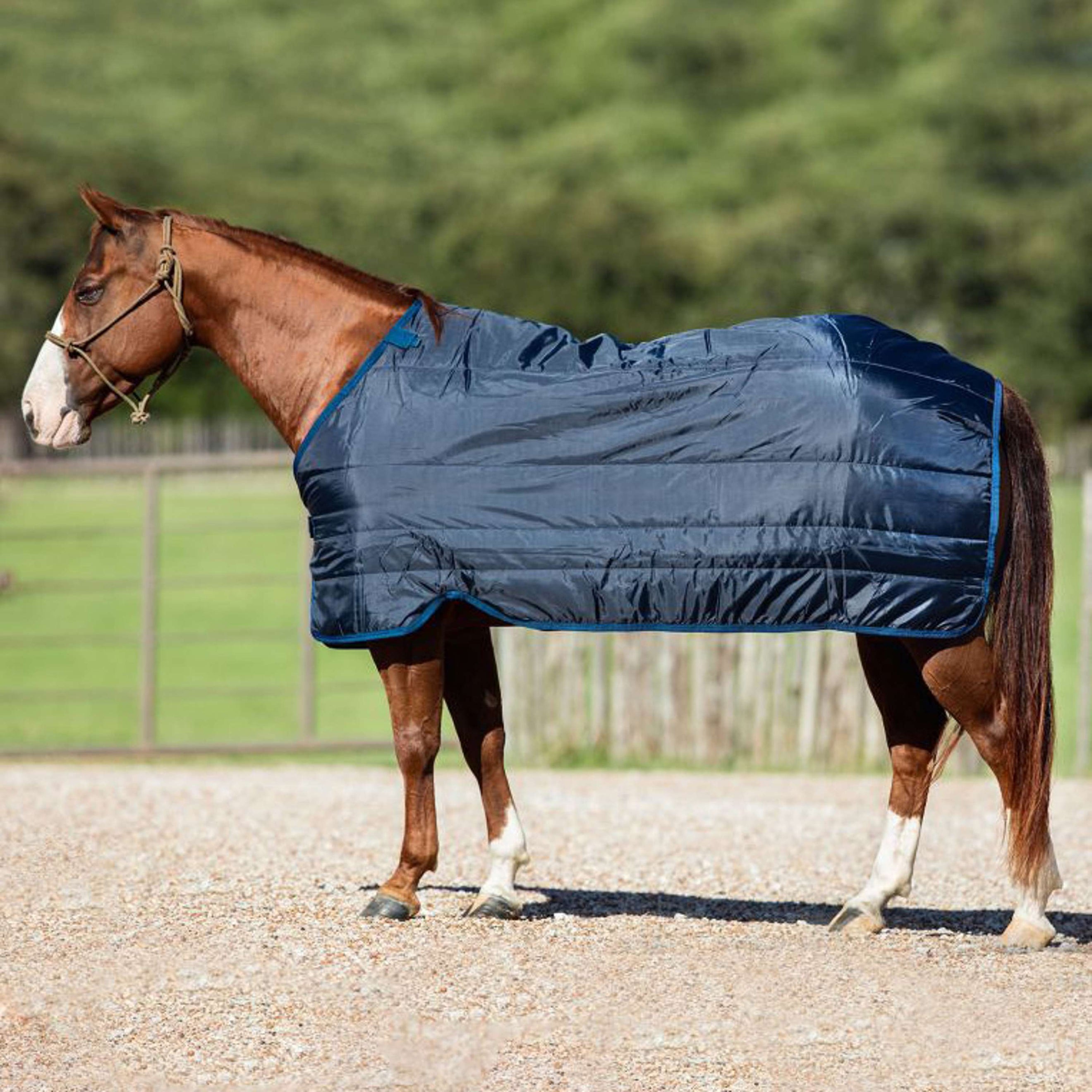 Horseware Liner 200g Navy Horseware Liner 200g Navy