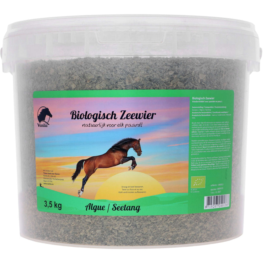 Vanilia Icelandic Seaweed