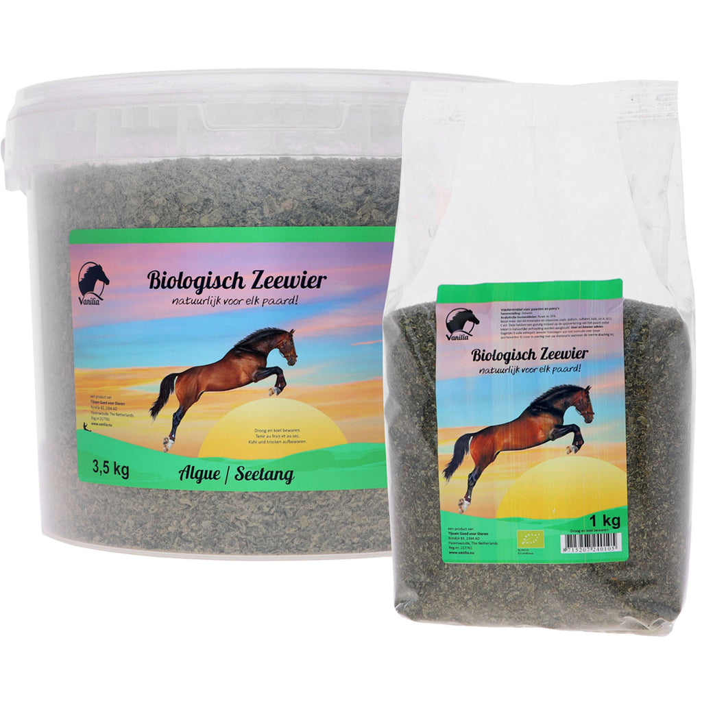Vanilia Icelandic Seaweed