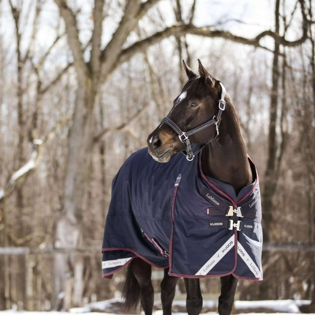 LeMieux Rug Kudos Turnout 100gr Navy