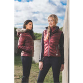 ANKY Bodywarmer Quilted New Maroon