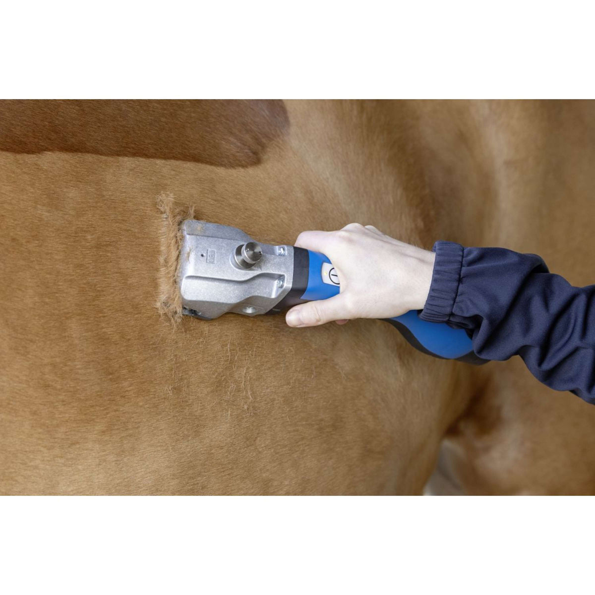 Aesculap Battery Shaving Machine Bonum Horse Blue