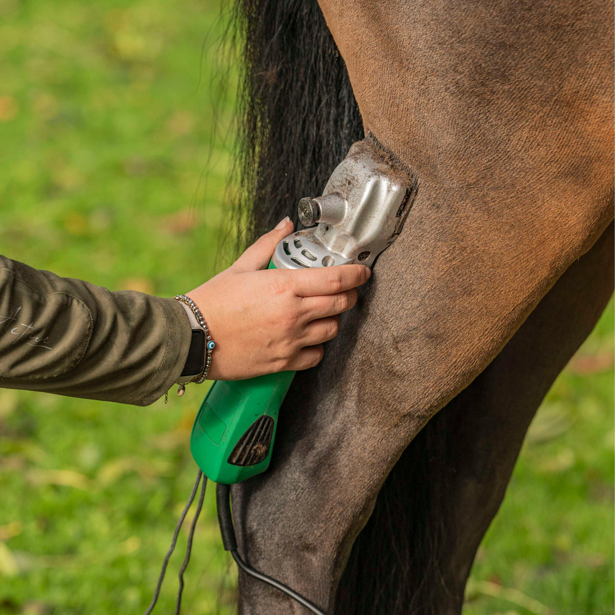 Agradi Horse Shearing Station HC-2000 200W Green