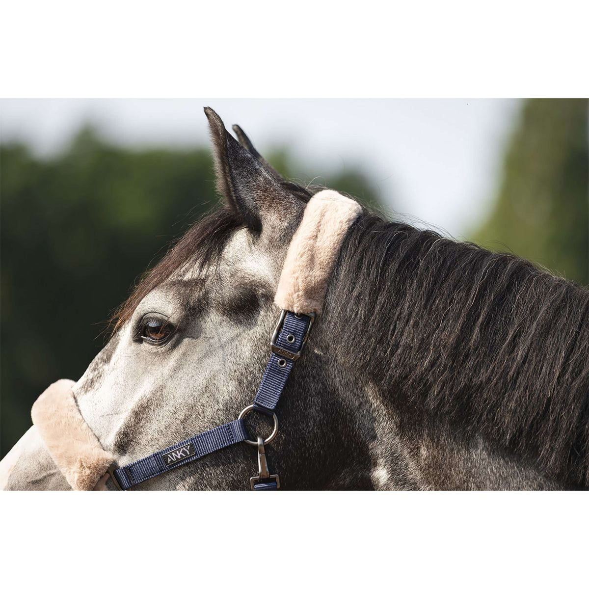 ANKY Head Collar Set Check Velvet ATH25002 Midnight Blue