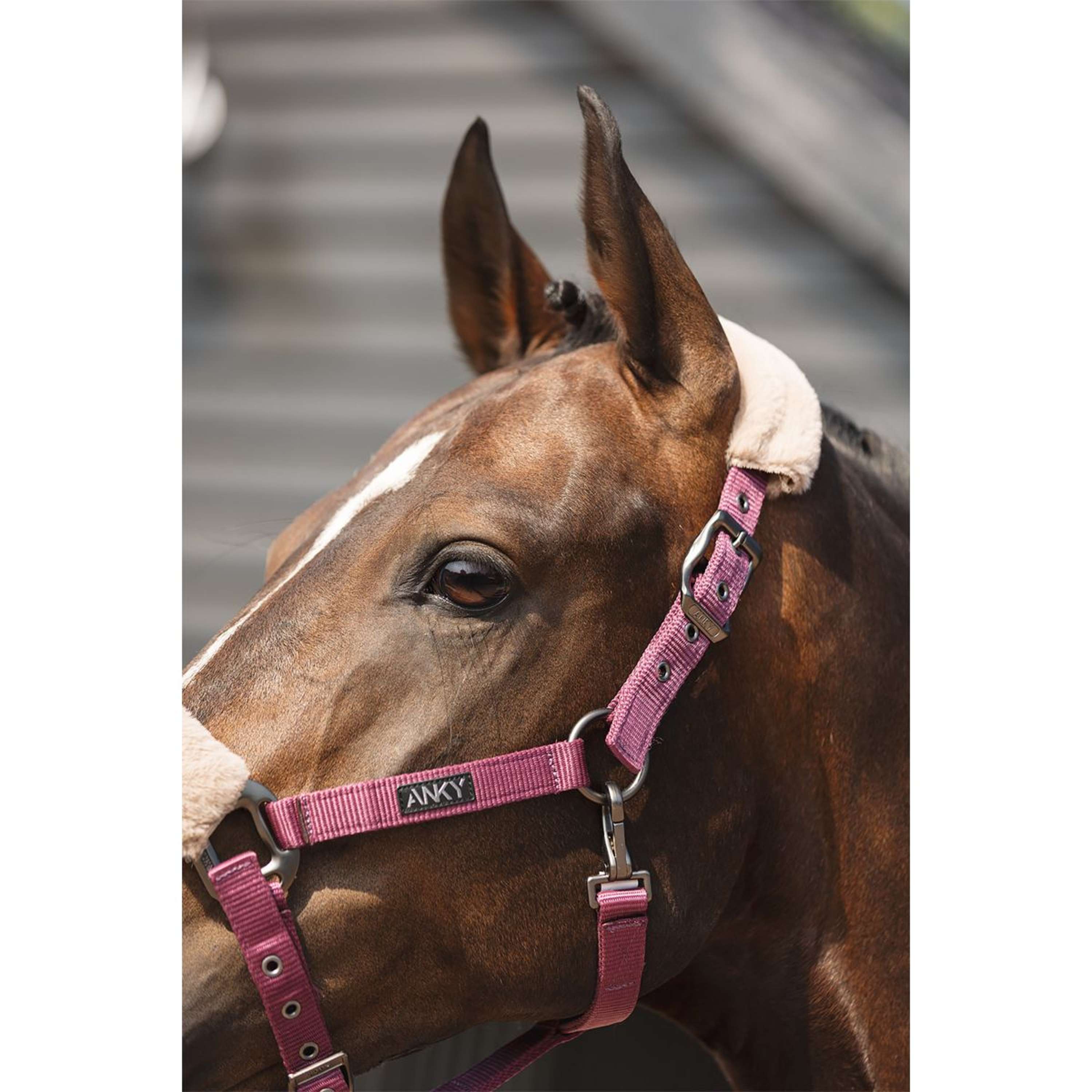 ANKY Halter Set Check Velvet ATH25002 Mellow Mauve
