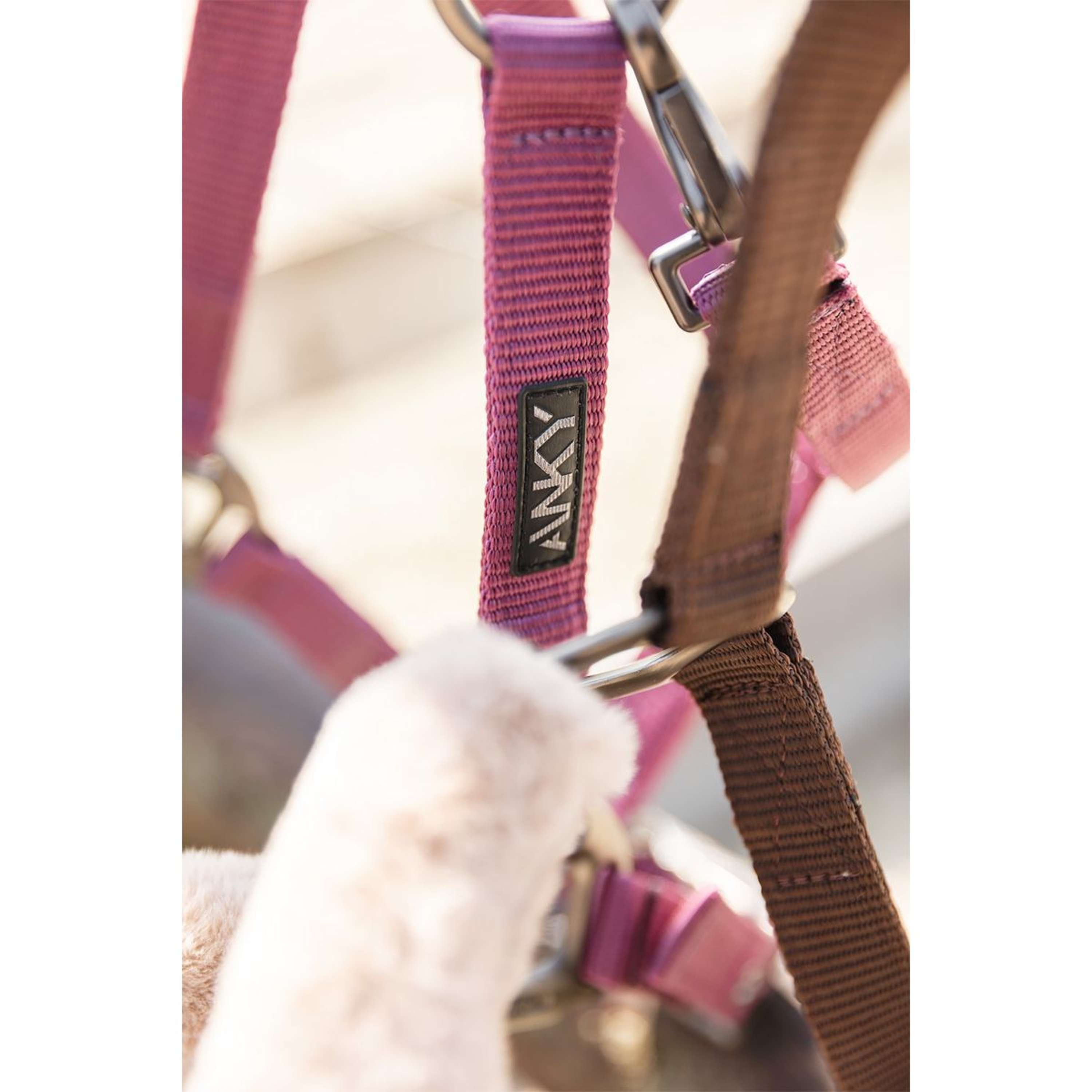ANKY Halter Set Check Velvet ATH25002 Mellow Mauve