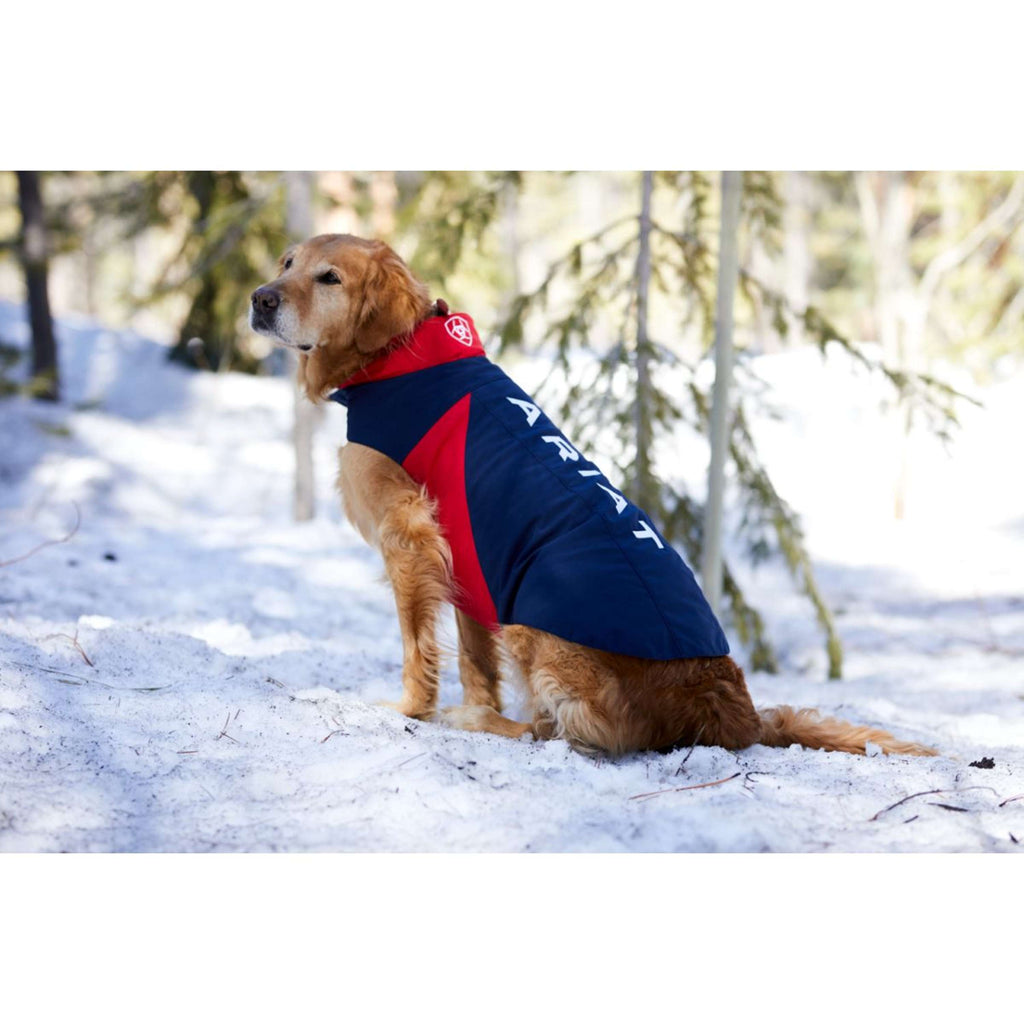 Ariat Dog Coat Team Softshell Blue red