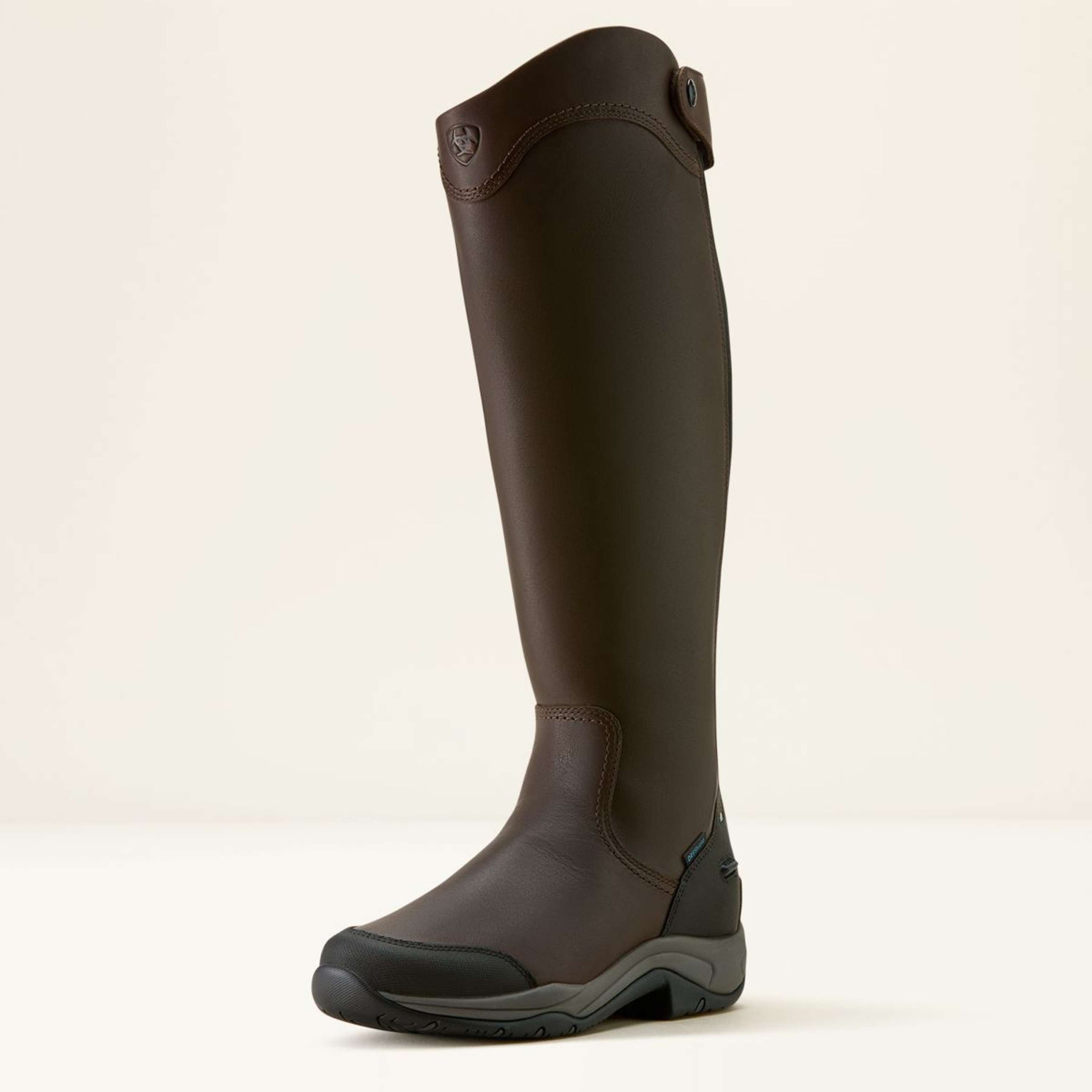 Ariat Riding Boots Telluride Tall H2O Darkbrown Ariat Riding Boots Telluride Tall H2O Darkbrown